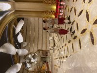 IMG_7849.jpeg