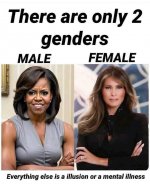 c862badbf2d84d8614c9.jpg
