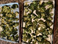 IMG_0672.jpeg