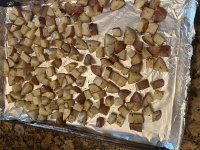 IMG_0674.jpeg