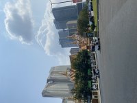 IMG_7857.jpeg