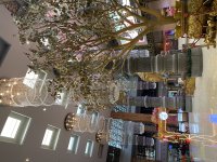 IMG_7872.jpeg