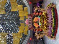 IMG_7869.jpeg