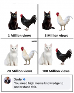 1737993905834.png