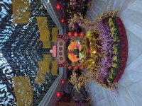 IMG_0211.jpeg