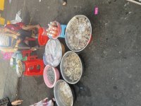 IMG_8009.jpeg
