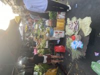 IMG_8010.jpeg