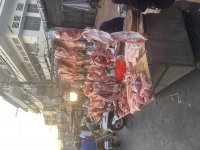 IMG_8012.jpeg