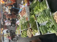 IMG_8016.jpeg