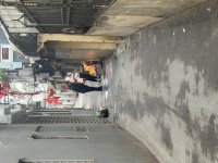 IMG_0263.jpeg
