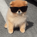 1738632903396.gif