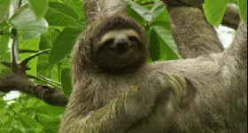 1738640514487.gif