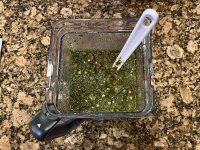 IMG_0879.jpeg