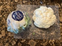 IMG_0883.jpeg