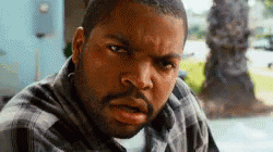 1739074734455.gif