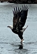 IMG_9920.jpeg