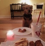 IMG_2992.jpeg