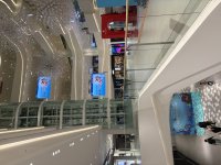 IMG_0636.jpeg