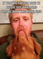 1739472620780.png