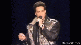 giphy (33).gif