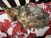 IMG_3766.jpeg
