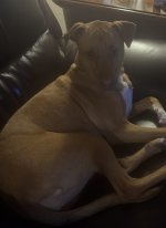 IMG_3018.jpeg