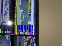 IMG_4289.jpeg