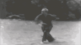 ho-chi-minh-kungfu.gif