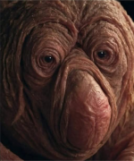 1740013405353.png