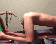 GIF3.gif