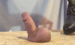 IMG_8262.gif