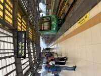 IMG_1004.jpeg