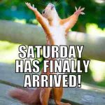saturday.jpg