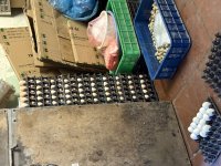 IMG_1087.jpeg