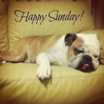 sunday1.jpg