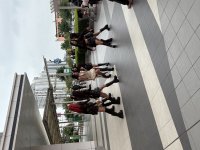 IMG_1080.jpeg