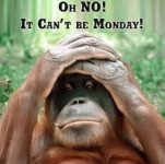 monday 2.jpg