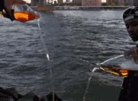 1740539030180.gif