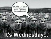 wednesday1.jpg