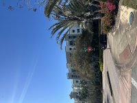 IMG_3063.jpeg