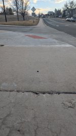 PXL_20250303_003318540.jpg