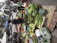 IMG_1560.jpeg