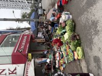 IMG_1559.jpeg