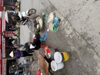 IMG_1558.jpeg