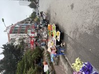 IMG_1557.jpeg