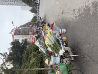IMG_1556.jpeg