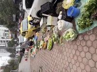 IMG_1555.jpeg