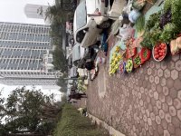 IMG_1553.jpeg