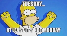 tuesday1.jpg
