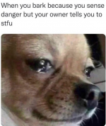 1741121427090.png
